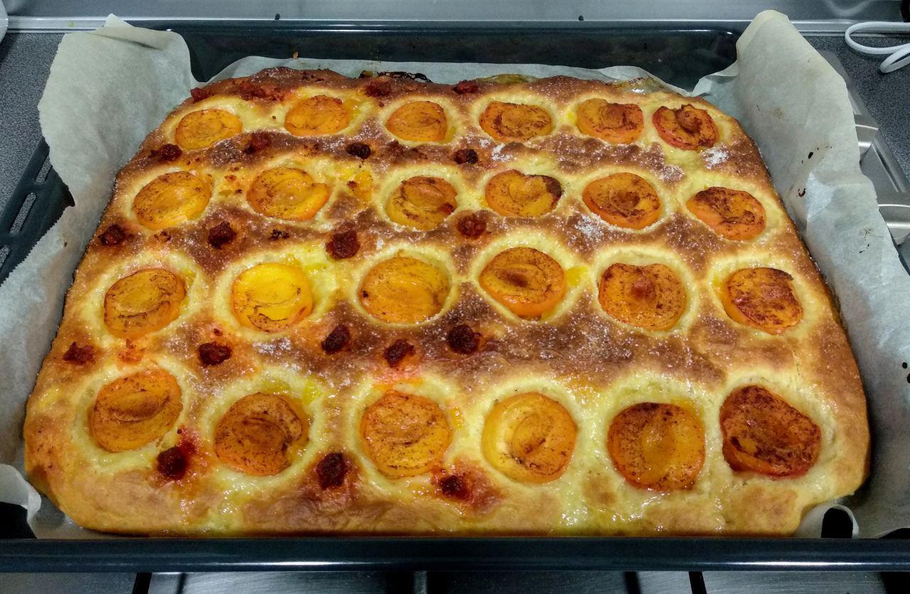 Coca de albaricoque Coca de albaricoque